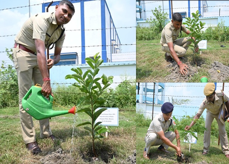 Tree Plantation on the occasion of World Environment Day